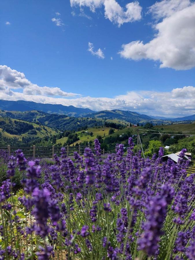 Lavender Valley Perekrestnoye Exterior foto